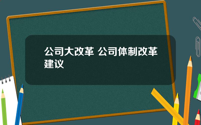 公司大改革 公司体制改革建议
